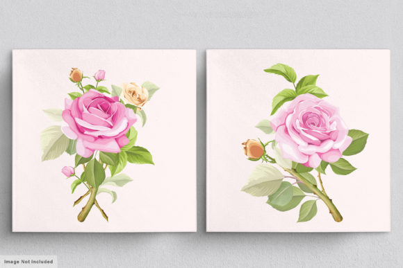 Download Beautiful Roses Hand Drawn Illustrations - Premium Resources