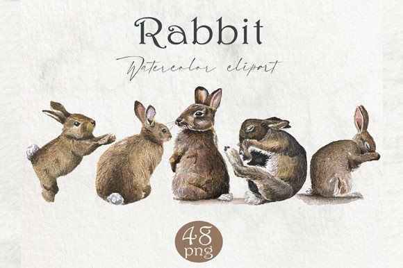 Download Watercolor Rabbit, Forest Animals PNG - Watercolor Collection