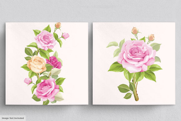 Download Beautiful Roses Hand Drawn Illustrations - Hand drawn illustrations Collection