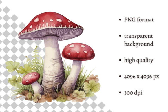 Download Watercolor Woodland Wild Mushroom PNG - Watercolor Collection