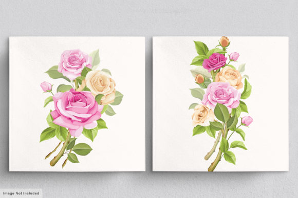 Download Beautiful Roses Hand Drawn Illustrations - Hand drawn illustrations Collection