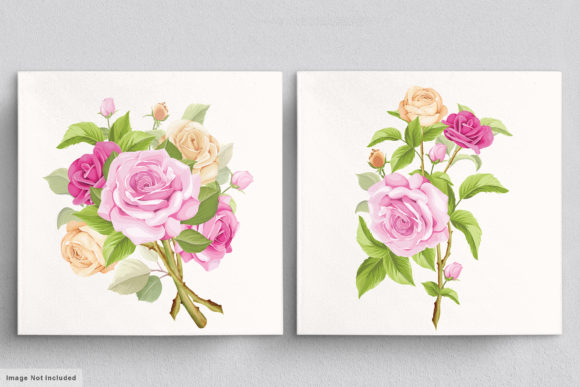 Download Beautiful Roses Hand Drawn Illustrations - Hand drawn illustrations Collection