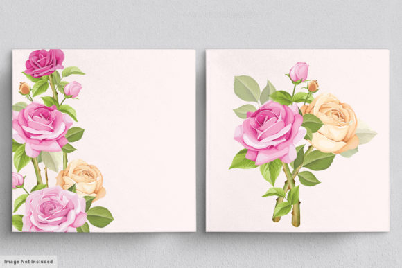 Download Beautiful Roses Hand Drawn Illustrations - Premium Resources