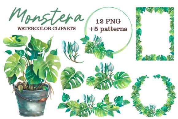 Download Monstera Watercolor Clipart - Watercolor Collection