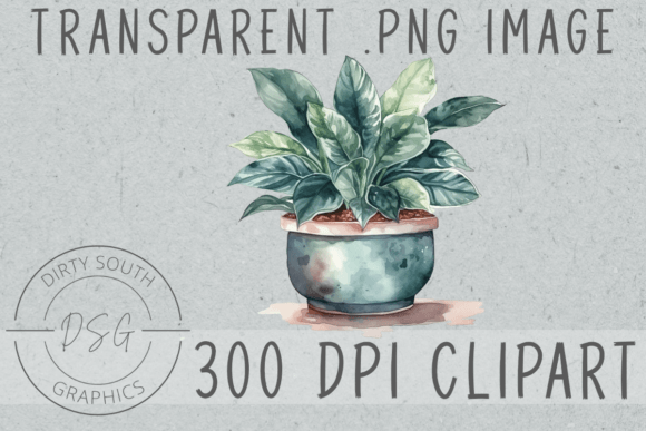 Download Watercolor House Plant Clip Art - Watercolor Collection