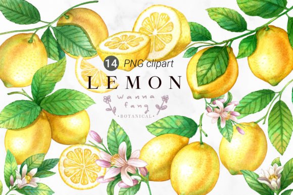 Download Lemon Fruit Watercolor Clipart, PNG - Watercolor Collection
