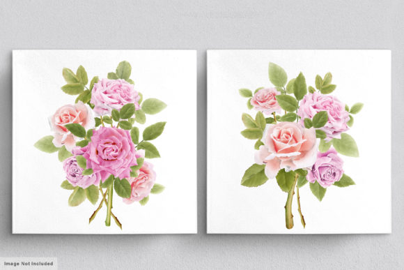 Download Beautiful Roses Hand Drawn Illustrations - Premium Resources