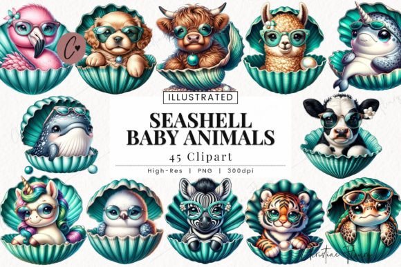 Download Seashell Baby Animals Clipart, Beach PNG - Premium Resources