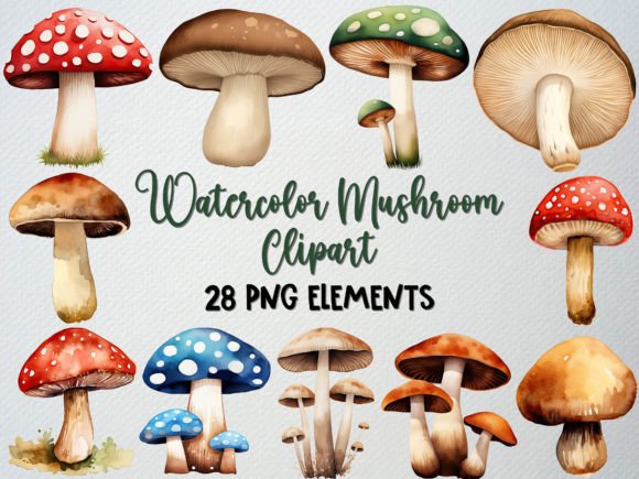 Download Watercolor Mushroom Clipart Set, 28 PNG - Watercolor Collection