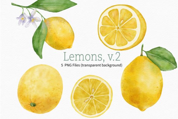 Download Lemon Watercolor Fruit Clipart Branch - Watercolor Collection